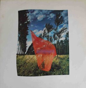 Pink Floyd-Wish You Where Here