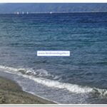 Reggio Calabria - La Perla dello Stretto